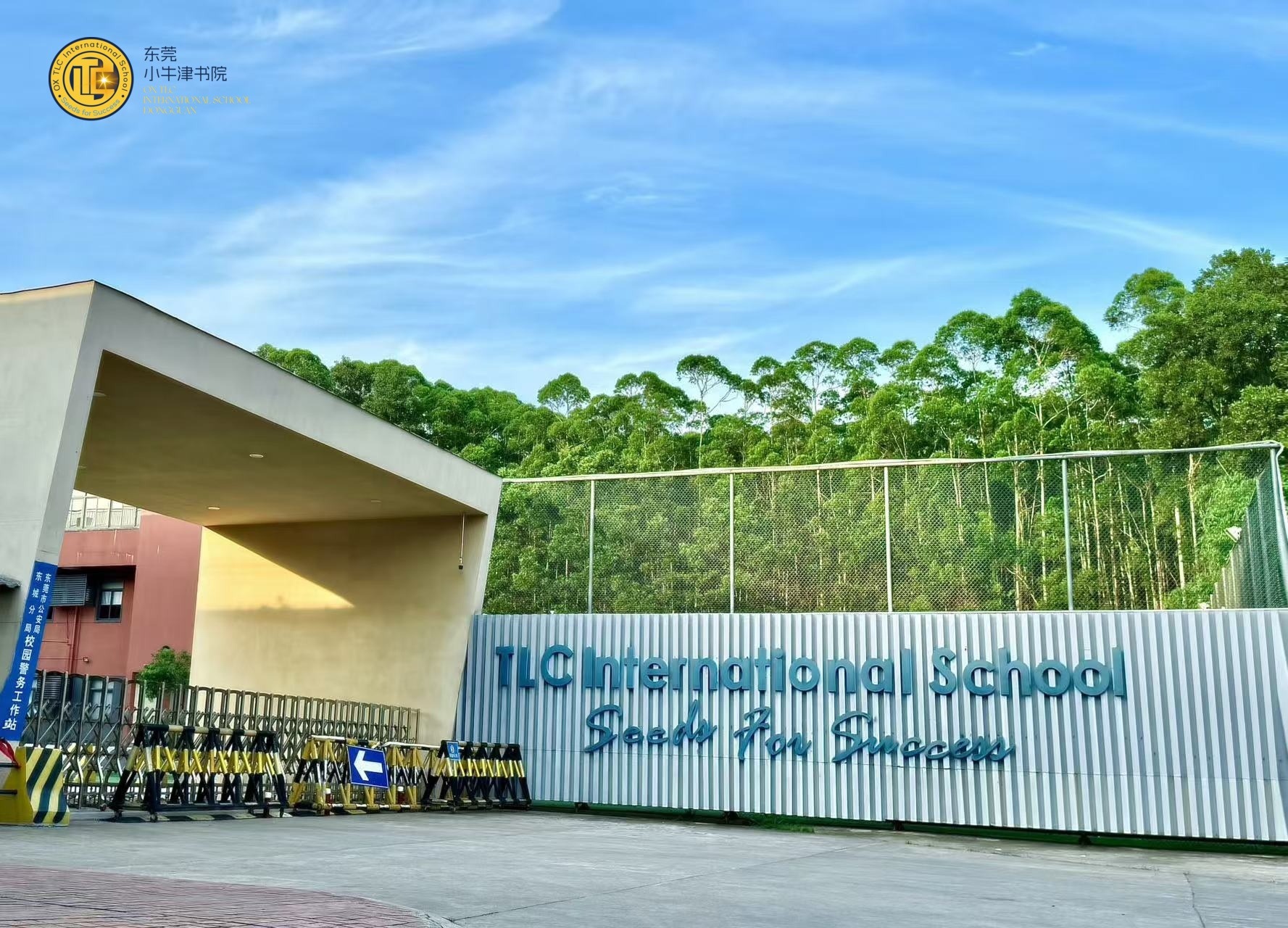 A young girl wearing a blue shirt and a face mask is using a laptop.